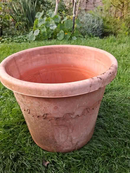 Photo of free Large plastic flower pot no 2 (Stroud GL5) #1