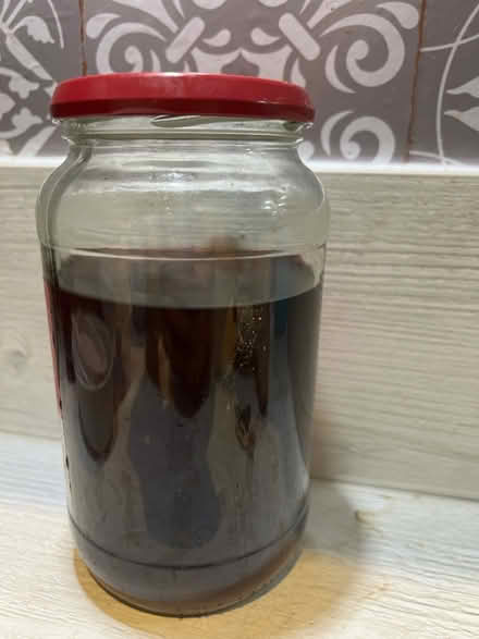 Photo of free Picking vinegar (RH12) #2