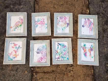 Photo of free Framed pictures (Frome BA11) #1