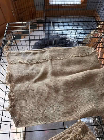 Photo of free 5 burlap bags for Halloween (Downers Grove) #1