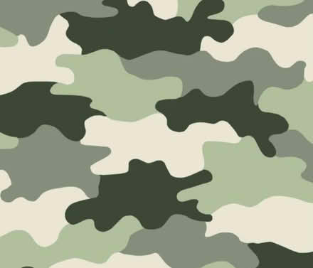 Photo of Green paint (Pitshanger W5) #1