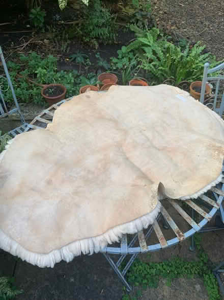 Photo of free Natural fleece (Oldfield Park) #1