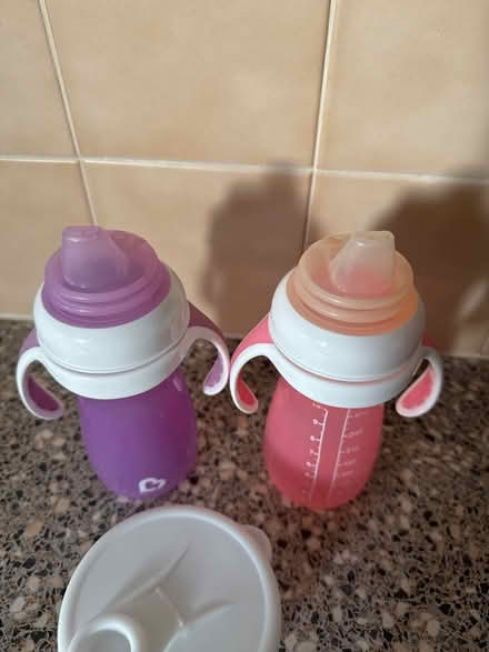 Photo of free Munchkin bottles (DE55 Tibshelf) #2
