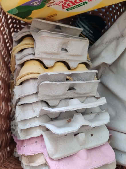 Photo of free Eggboxes (Greaves LA1) #1