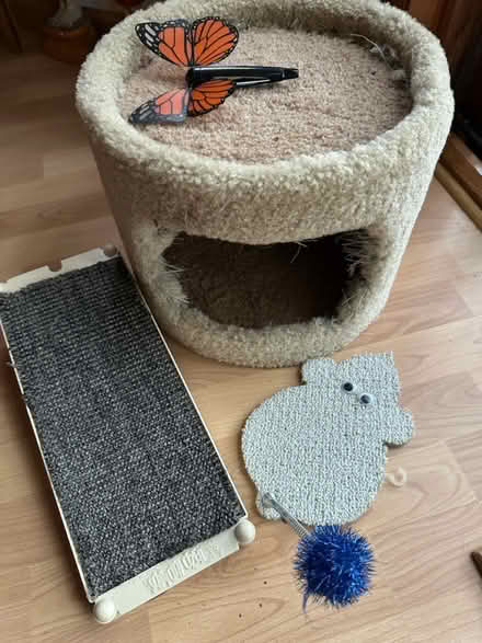 Photo of free Kitten supplies (White Bear Township, MN 55110) #1