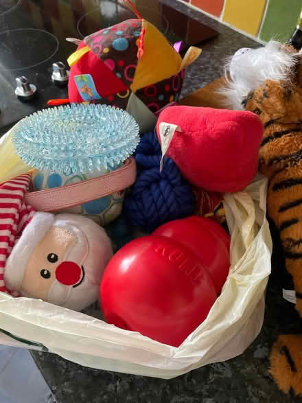 Photo of free Dog toys (Iver UB8) #1