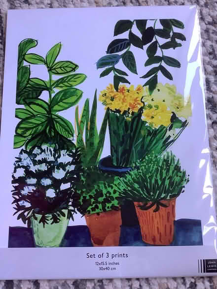 Photo of free Set of 3 prints, brand new (Oakridge RG21) #2