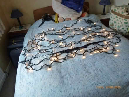 Photo of free Christmas tree and lights (Central Witham CM8) #2