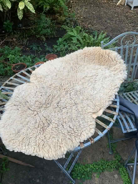 Photo of free Natural fleece (Oldfield Park) #3