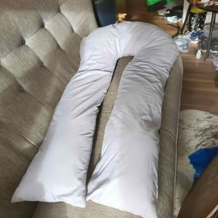 Photo of free Full body pillow (Oaklands nr Welwyn AL6) #1