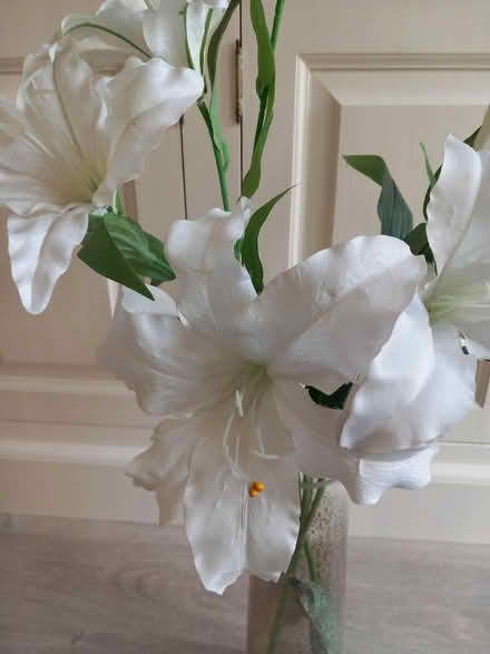 Photo of free Vase of flowers (EN7 Cheshunt) #3
