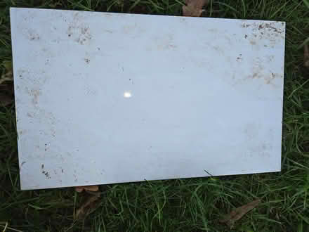 Photo of free 2 white wall tiles (Oakwood village) #2