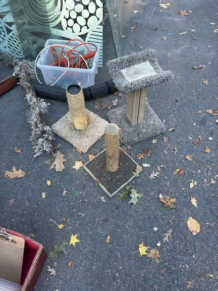 Photo of free Mugs and cat scratching posts (Hopkinton) #2