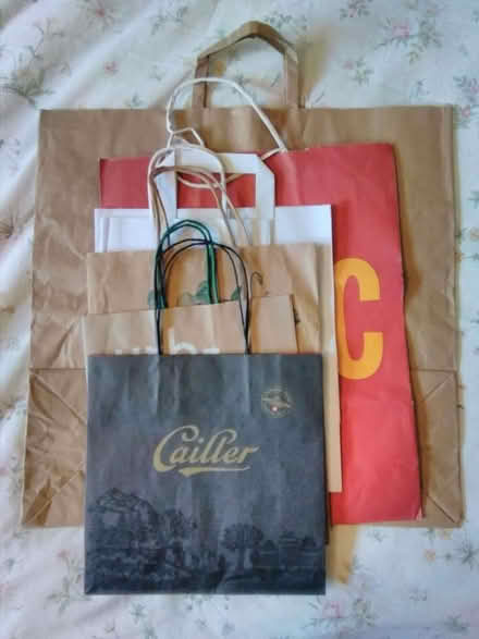 Photo of free Paper carrier bags (Fareham PO15) #1
