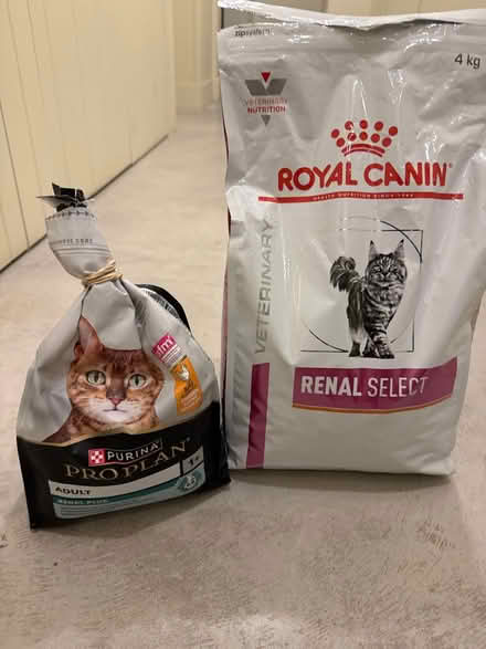 Photo of free Cat food: for older cats (E8 London) #1