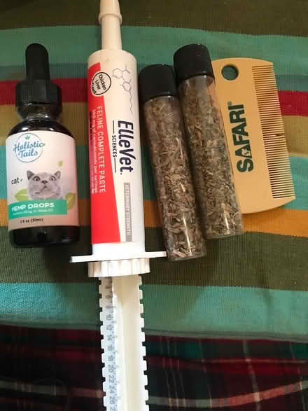 Photo of free Catnip and cat stuff (Berkeley SW) #1