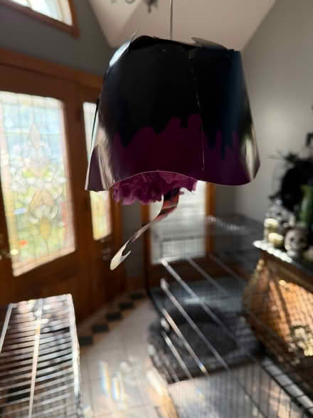 Photo of free With skirts with legs decor and hat (Downers Grove) #3