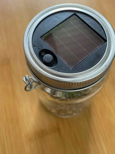 Photo of free Decorative succulent in a jar (Sunnyvale (Wolfe)) #1