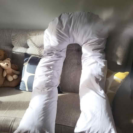 Photo of free Full body pillow (Oaklands nr Welwyn AL6) #2