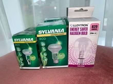 Photo of free Light bulbs (Solihull B91) #2