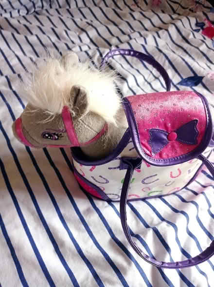 Photo of free 2 soft horse (Gorebridge EH23) #1