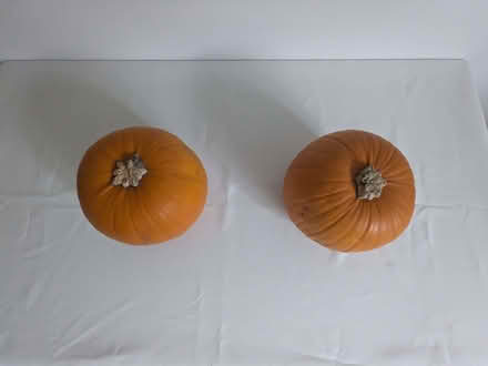 Photo of free 2 pumpkins (New Barnet EN5) #2