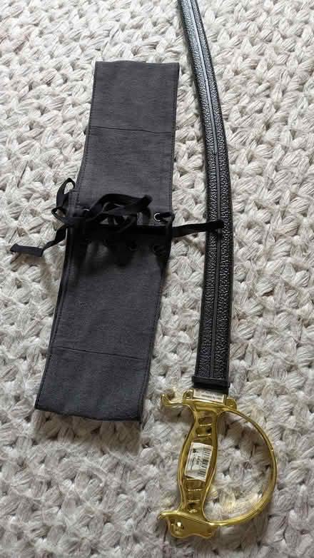 Photo of free Halloween costumes, various (Hayward Downtown) #3