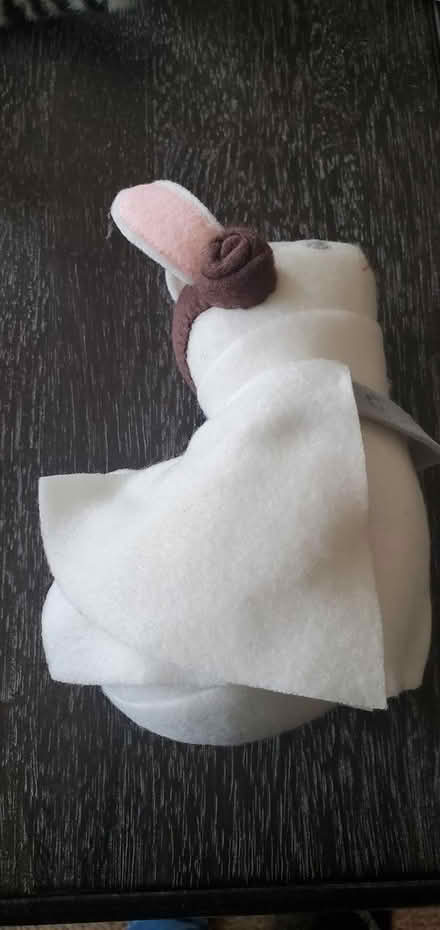 Photo of free Princess Leia plush bunny (Springfield - Scenic Hills) #1