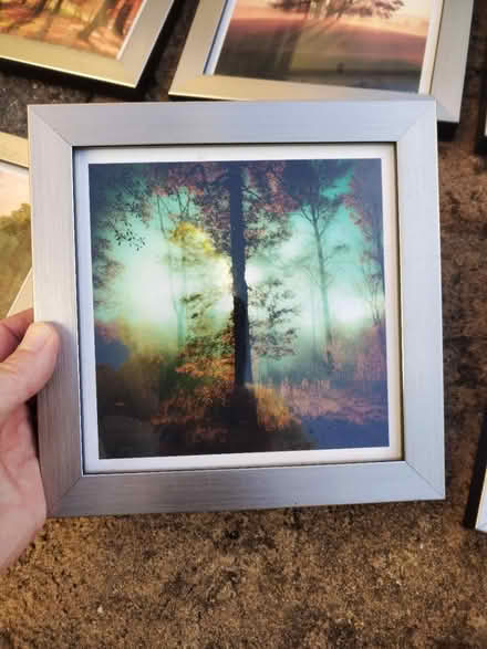 Photo of free Framed pictures #2 (Frome BA11) #2