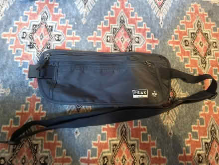 Photo of free RFID blocking passport belt (Somerville near Davis square) #1