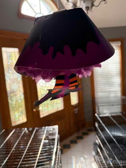 Photo of free With skirts with legs decor and hat (Downers Grove) #2