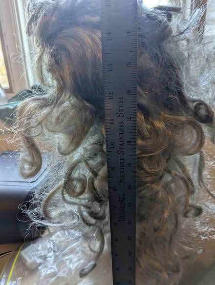 Photo of free Greyish Costume Wig (Ottawa) #1