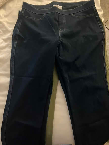 Photo of free Four size L capri pants (West End of Watertown) #1
