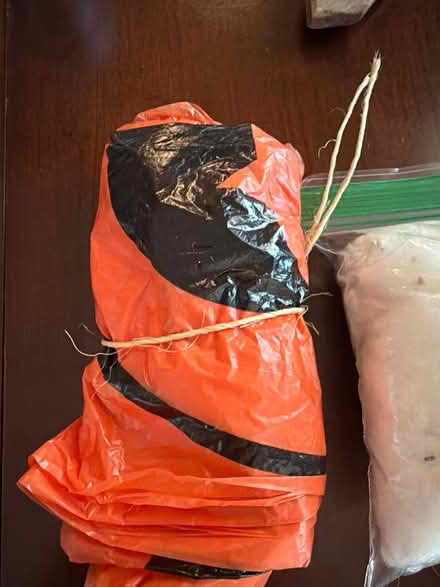 Photo of free Spider netting / 2 pumpkin bags (Downers Grove) #2