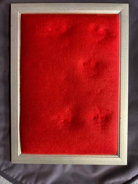 Photo of free Padded frame for displaying jewellery – Jewellery NOT incl! (Monks Hill CR2) #1