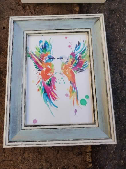 Photo of free Framed pictures (Frome BA11) #2