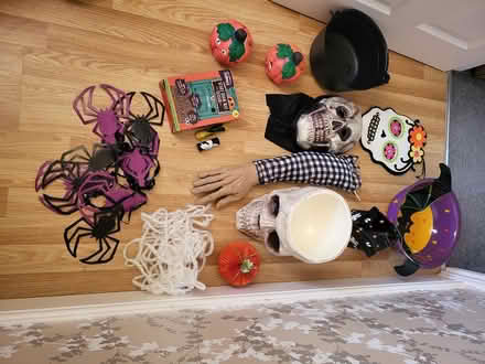 Photo of free Halloween decorations (Norton Sheffield S8) #1