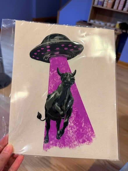 Photo of free Art Print (Chicago- Peterson Park) #1