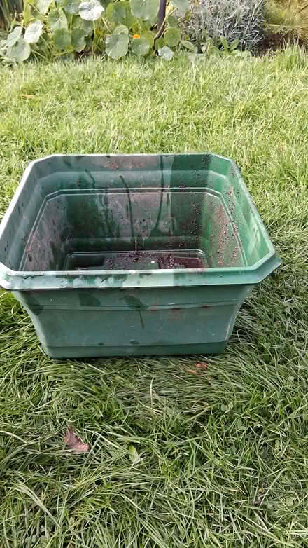 Photo of free Square plastic flower pot (Stroud GL5) #1