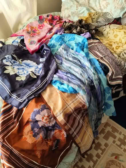 Photo of free Collection of 10 scarves (Gidea Park RM11) #1