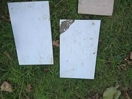 Photo of free 2 white wall tiles (Oakwood village) #1