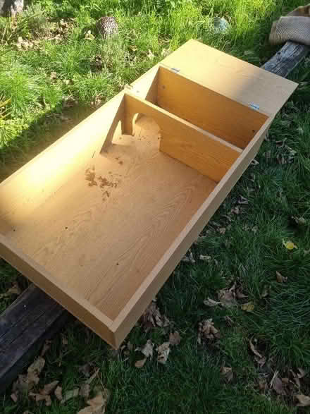 Photo of free Tortoise table (Coldean BN1) #1