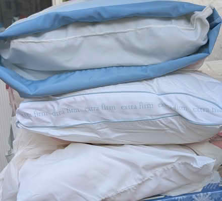 Photo of free 3 lightly-used pillows (Santa Clara near Great America) #1