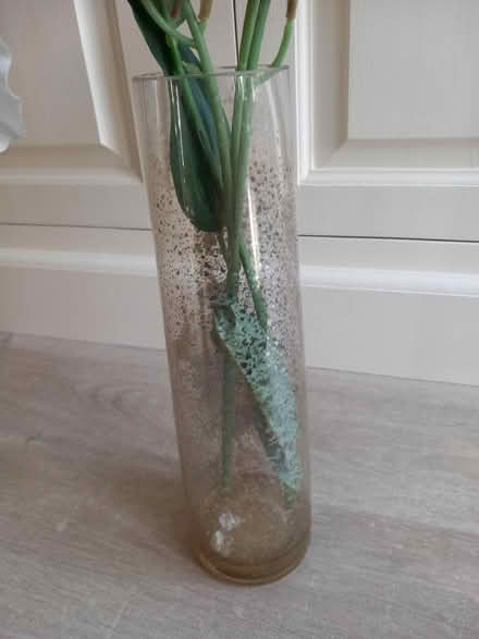 Photo of free Vase of flowers (EN7 Cheshunt) #2