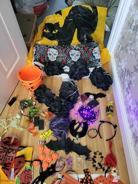 Photo of free Halloween decorations (Norton Sheffield S8) #2