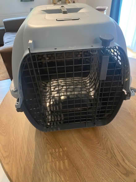 Photo of free Dogit pet carrier (Crouch End N8) #2