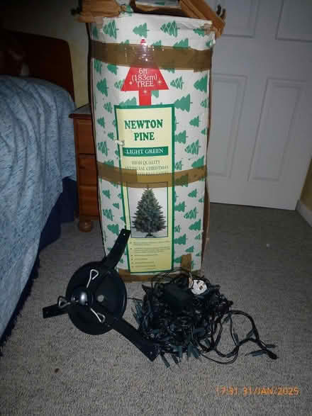 Photo of free Christmas tree and lights (Central Witham CM8) #1