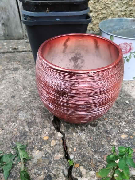 Photo of free Various plant pots (Coventry CV6) #3