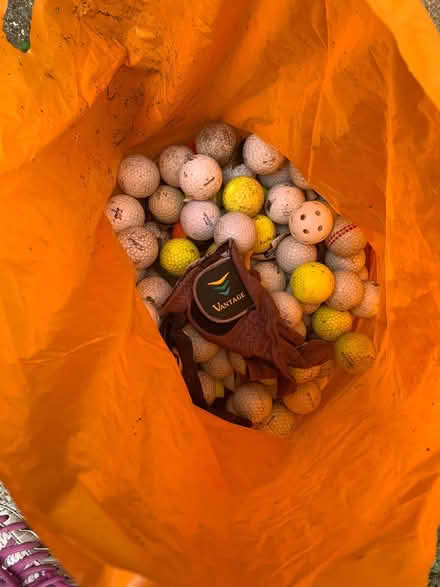Photo of free Bag of golf balls. (Oldfield Park) #1