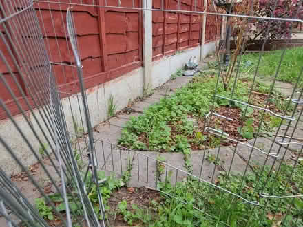 Photo of free Metal fence 0.6m h x 4.5m in 0.56m segments (Highams Park E4) #1